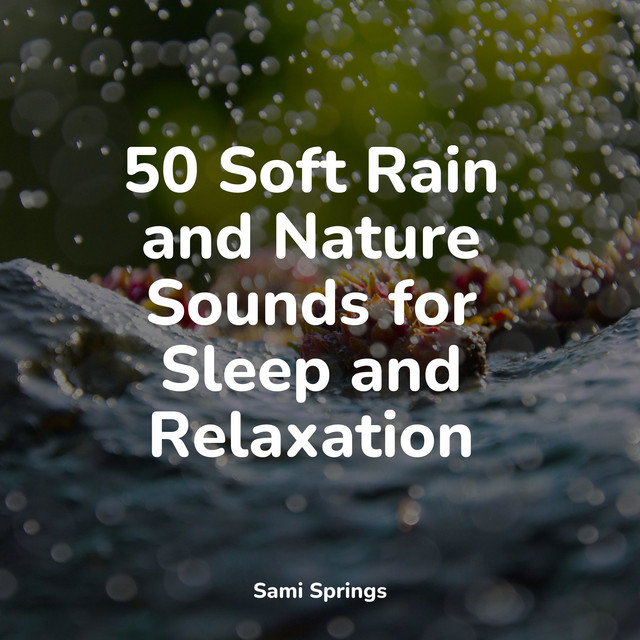 50 Soft Rain and Nature Sounds for Sleep and Relaxation - Album by Rain ...