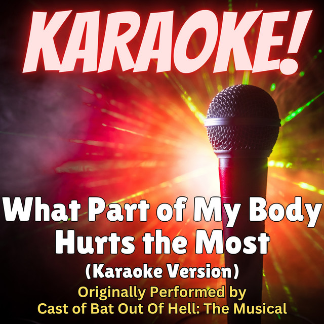 What Part of My Body Hurts the Most (Karaoke Version Originally Performed by Cast of Jim Steinman's Bat Out Of Hell: The Musical) cover art