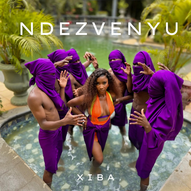 Ndezvenyu cover art