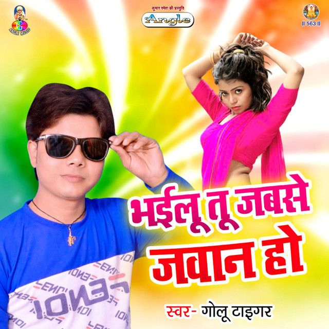 Hamke Khiyawelu Basi Ho cover art