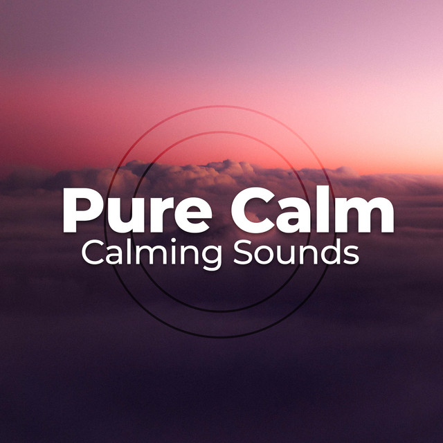 Pure Calm - Album by Calming Sounds | Spotify