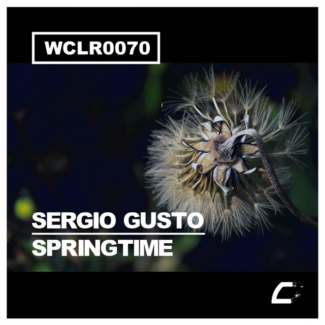 Обкладинка: Springtime - Original Mix — Sergio Gusto
