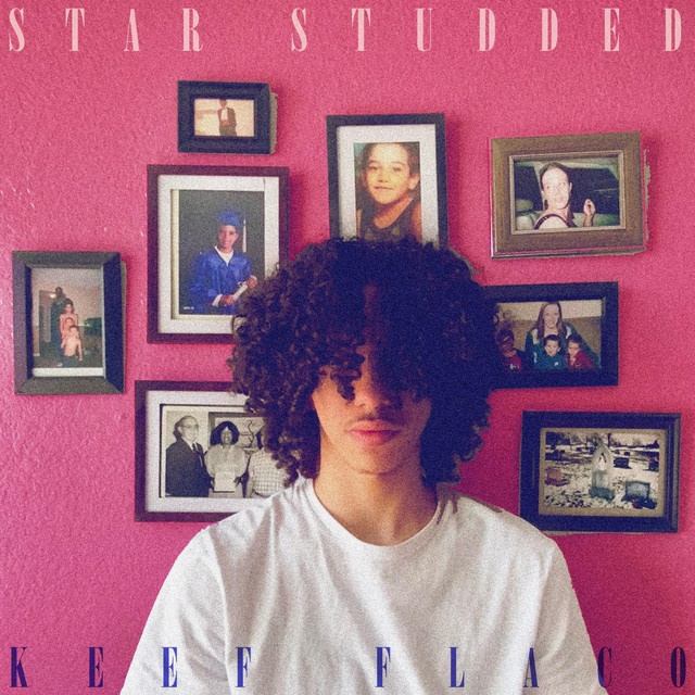 Star Studded cover art
