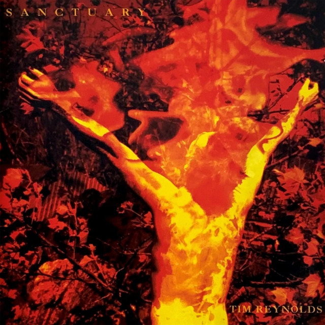 Sanctuary cover art