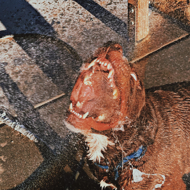 the mud EP cover art