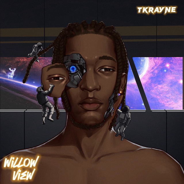 Willow View cover art