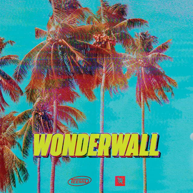 Wonderwall - TEEMID