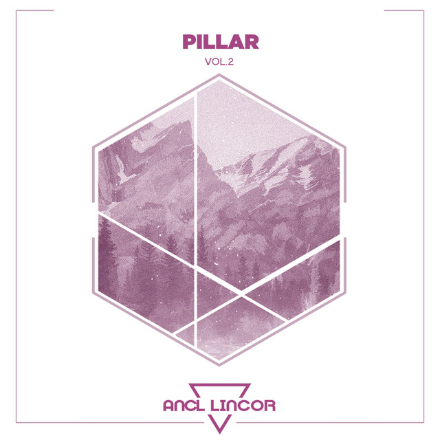 Pillar ; Vol.2 cover
