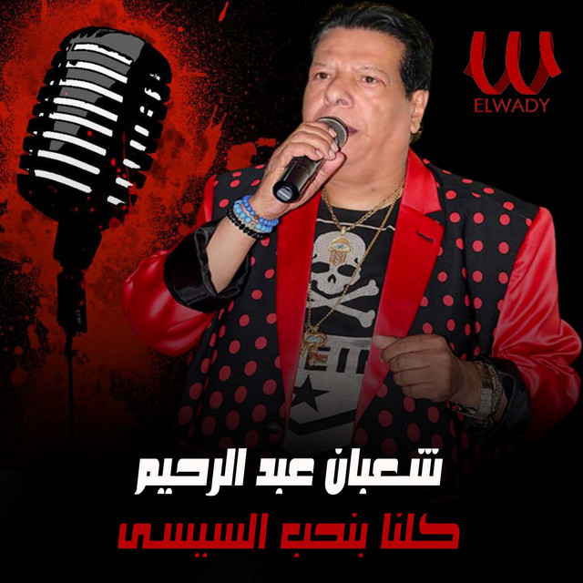 كلنا بنحب السيسي cover art