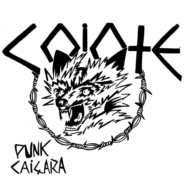 Punk Caiçara cover art