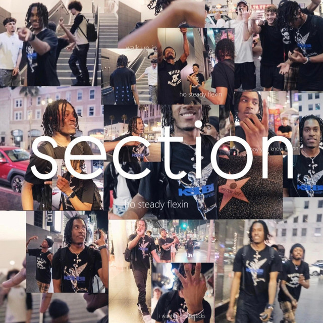 section cover art