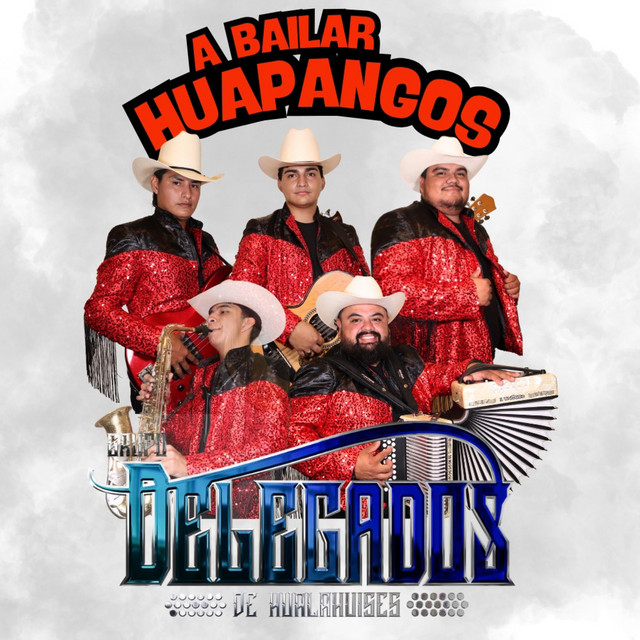 Grupo Delegados de Hualahuises