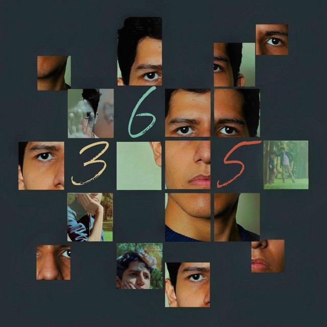 365 cover art