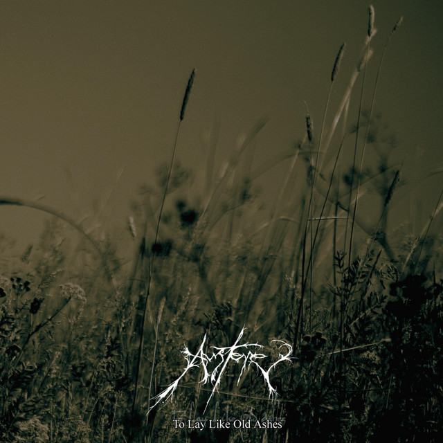 To Lay Like Old Ashes cover art