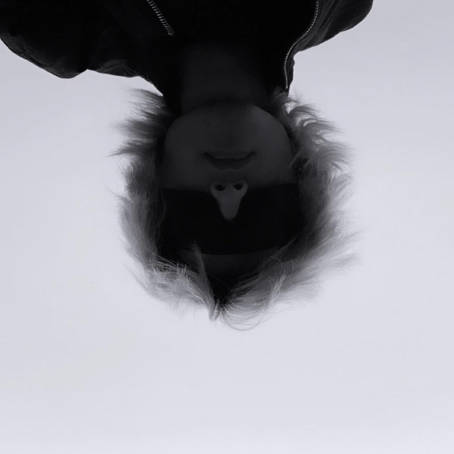 What Happens in the Dark Always Comes to Light cover