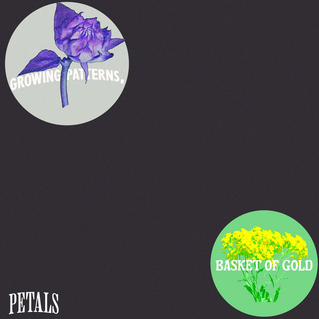 growing patterns//basket of gold cover art