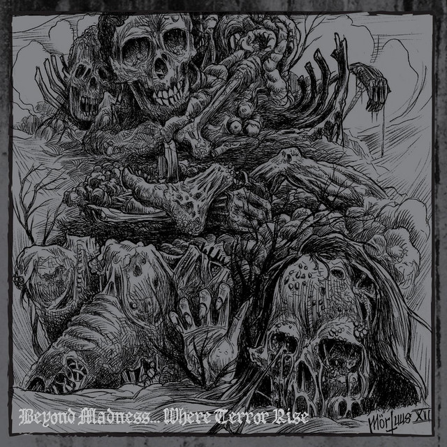 Beyond Madness... Where Terror Rise album image