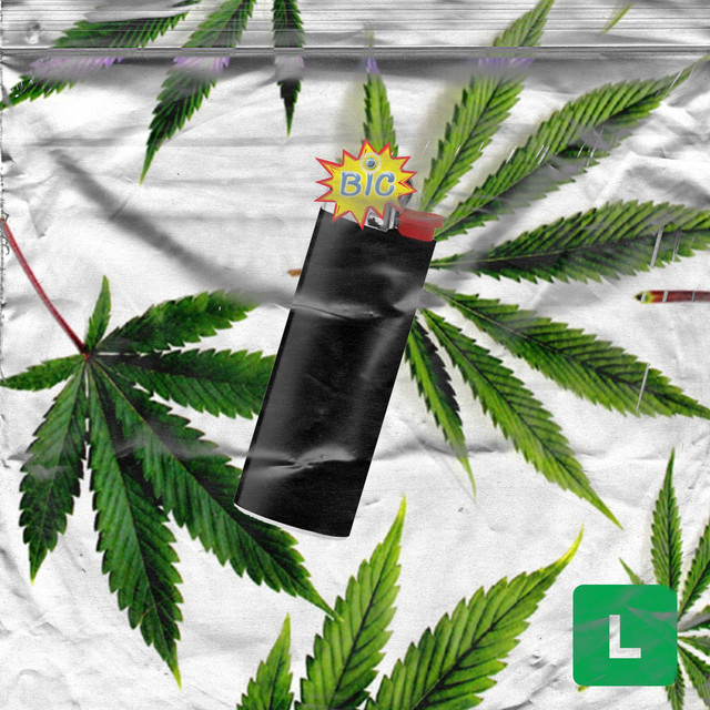 Bic cover art