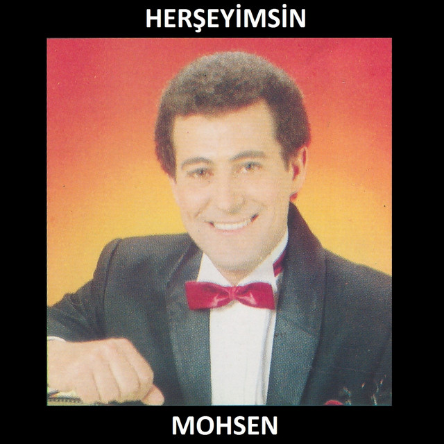 Herşeyimsin cover art