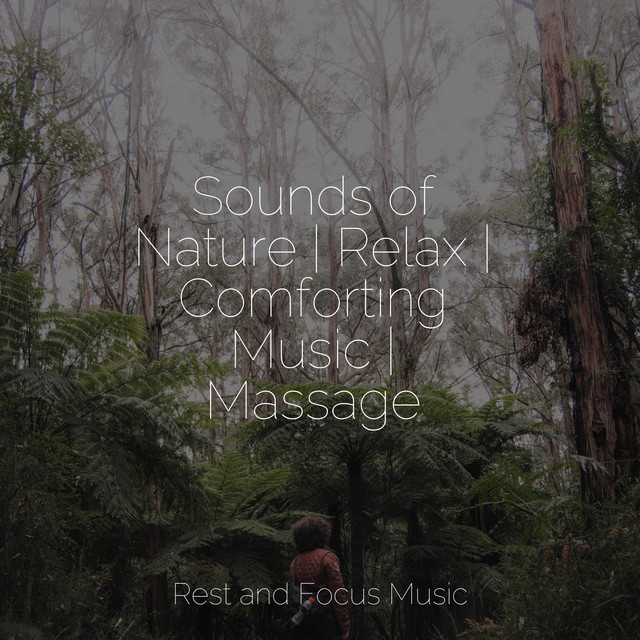 Sounds of Nature | Relax | Comforting Music | Massage - Album by Sleep ...