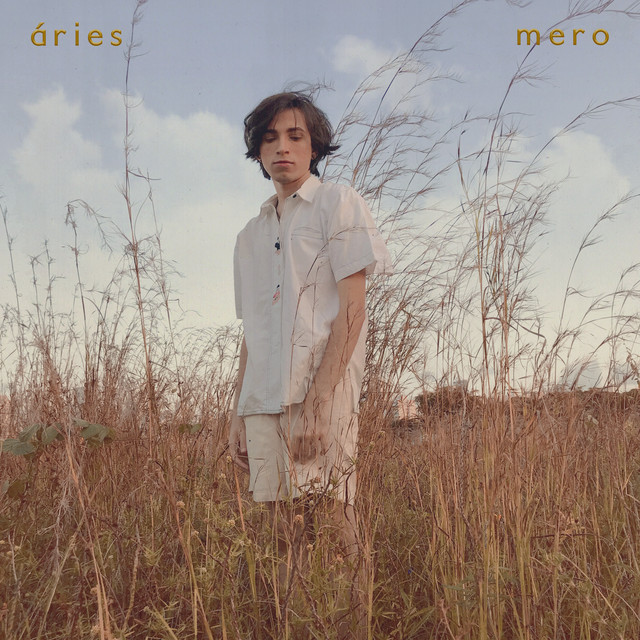 mero cover art