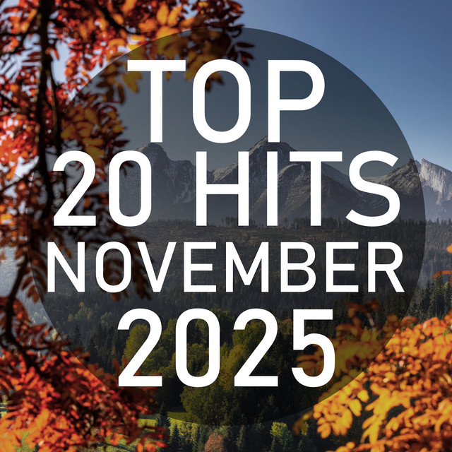 Top 20 Hits November 2025 (Instrumental) cover art