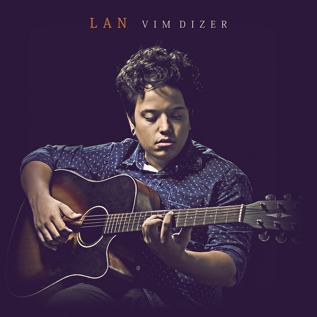 Vim Dizer cover art