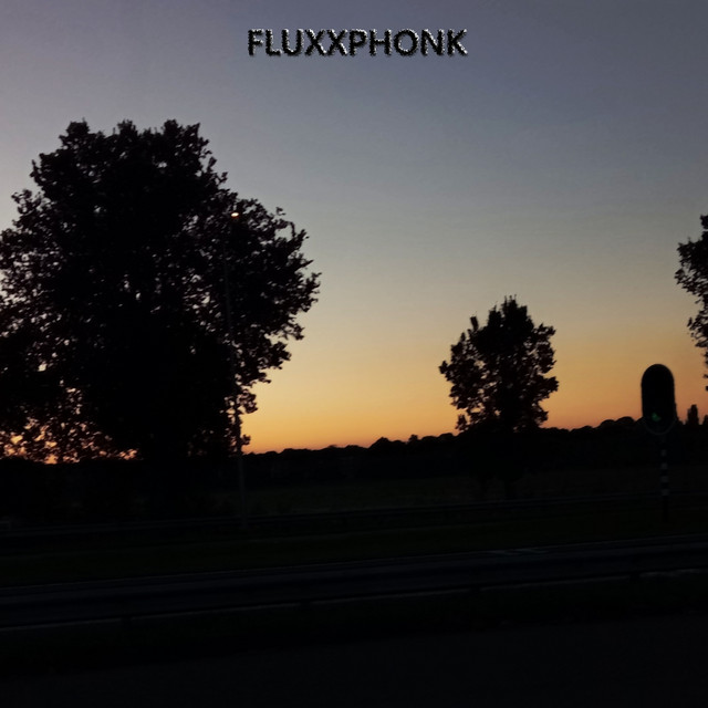 Обкладинка: Fluxxphonk — TAKVHXNSHI