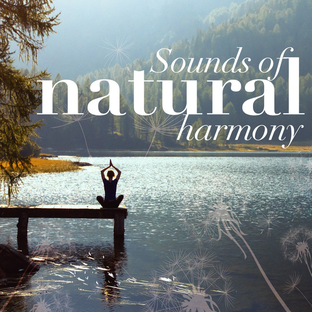 Natural Waters - song and lyrics by Nature Sounds - Sons de la nature ...