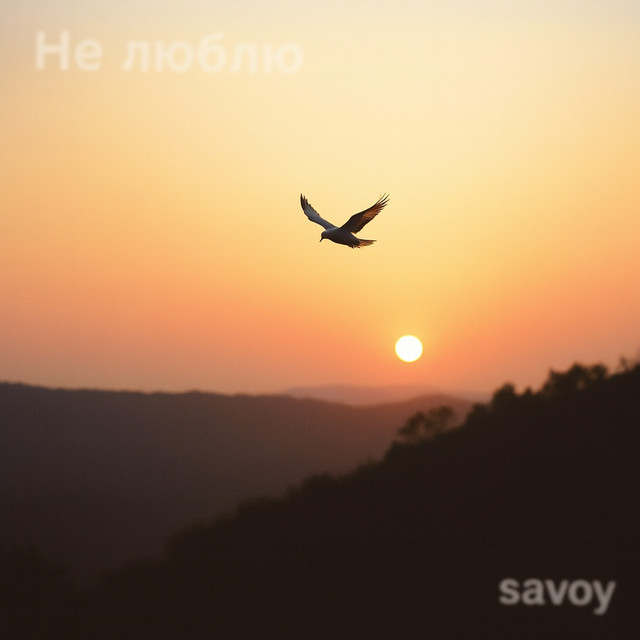 Не люблю
