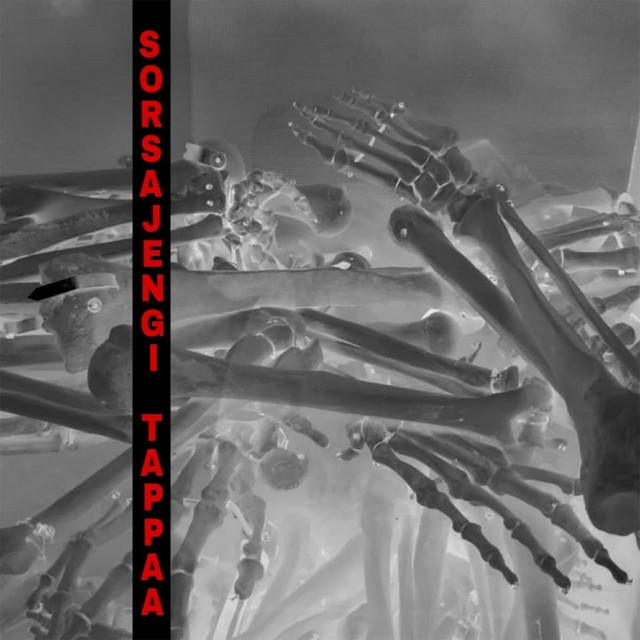 Sorsajengi Tappaa cover