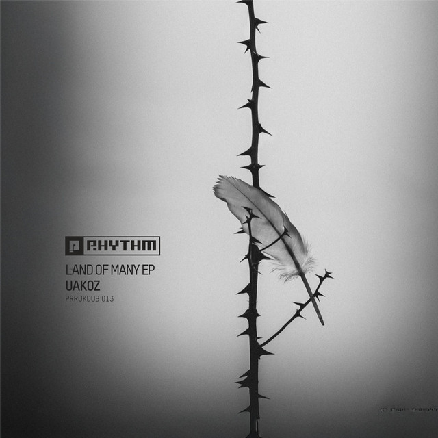 Land Of Many cover art
