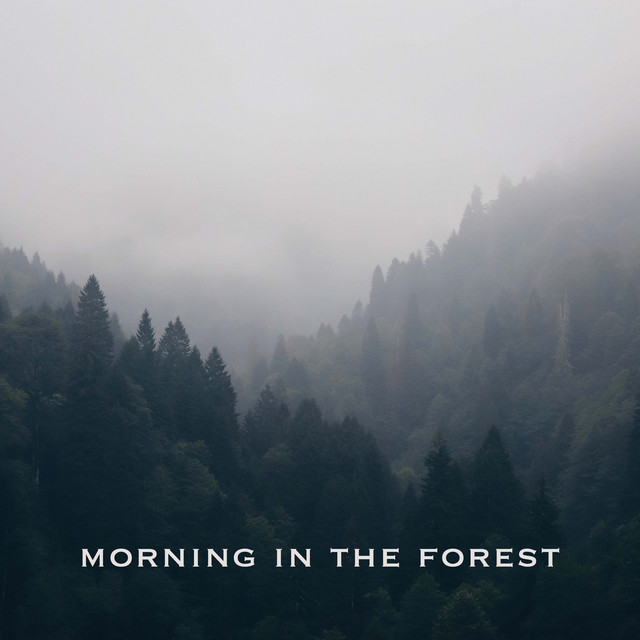 Обкладинка: Morning in the Forest — Clavier