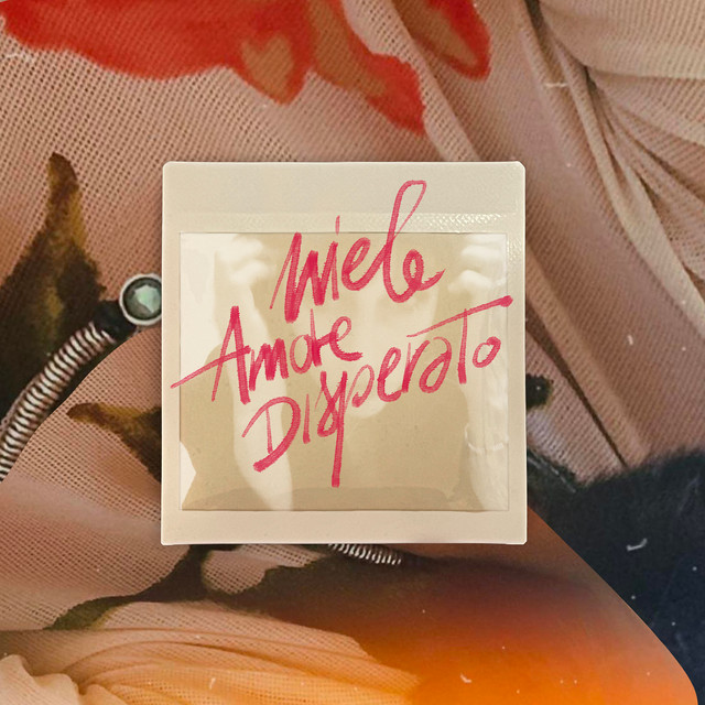 Amore disperato cover