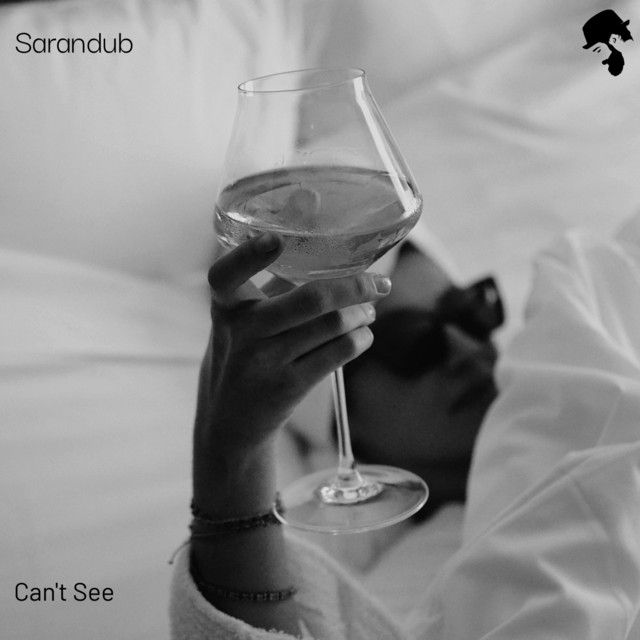 Обкладинка: Can't See — Sarandub