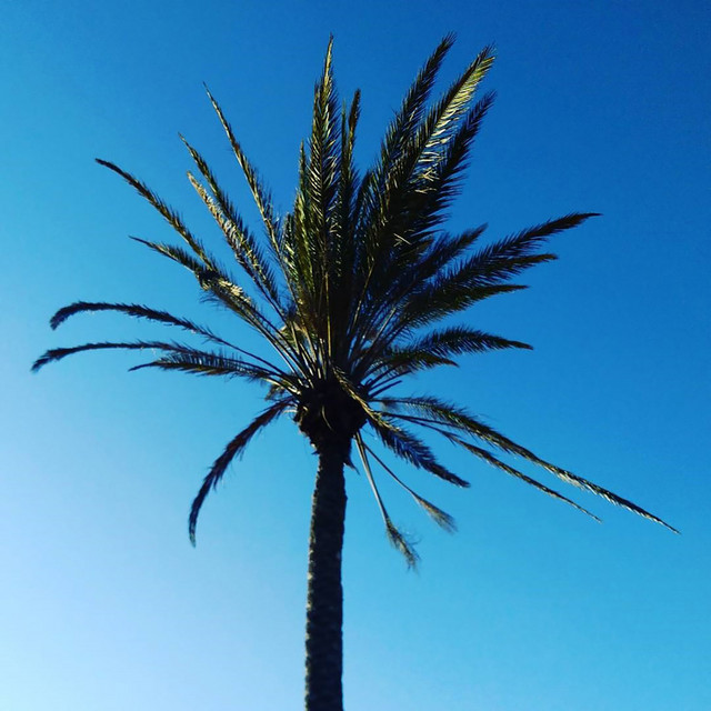 Stay Awake for Me cover