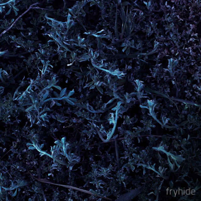 Space Cake album art
