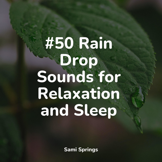 #50 Rain Drop Sounds for Relaxation and Sleep - Album by Sonidos de la ...
