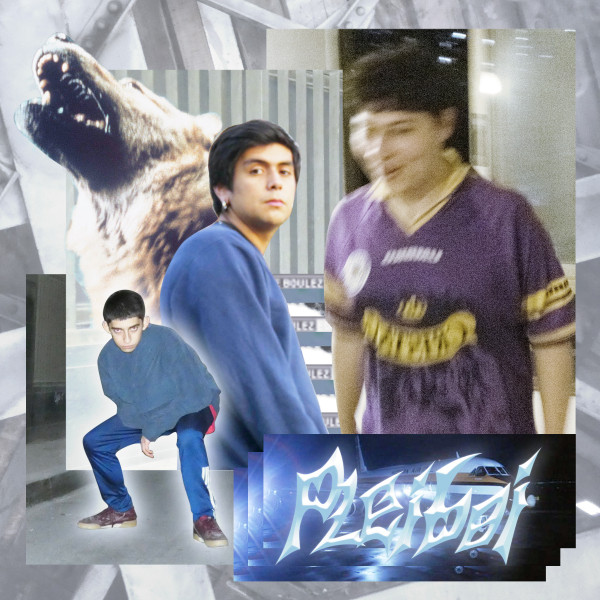 PLEIBOI cover art