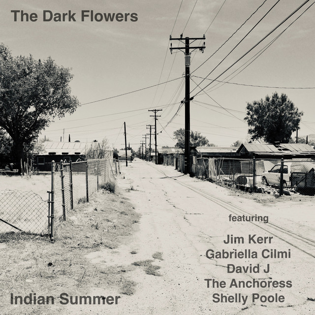 Indian Summer cover