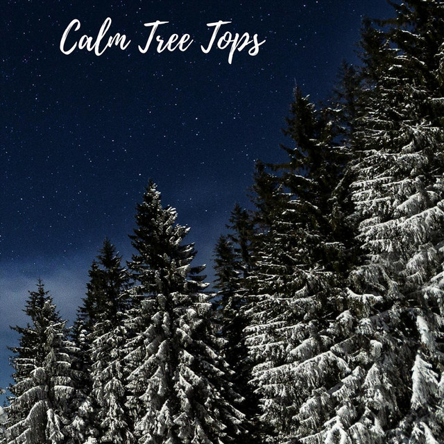 Calm Tree Tops cover art
