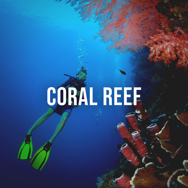 Coral Reef: Feel the Purifying Power of the Ocean as You Dive Through the Coral Reef, White Noise for the Imagination cover art
