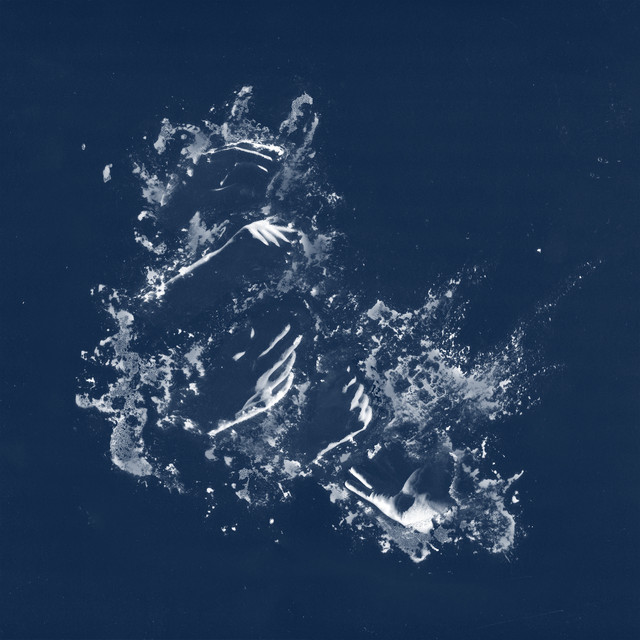 FELUCA cover art