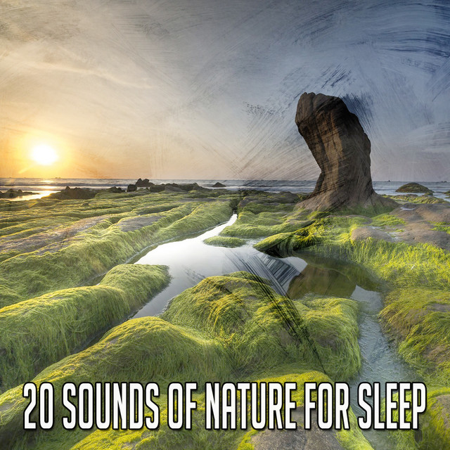 20 Sounds Of Nature For Sleep - Album by Mother Nature Sound FX | Spotify