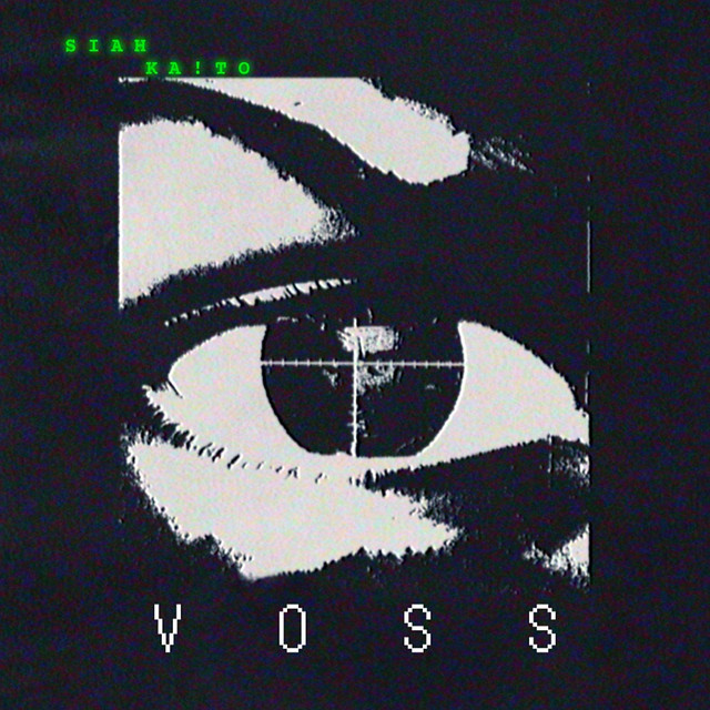 VOSS cover art