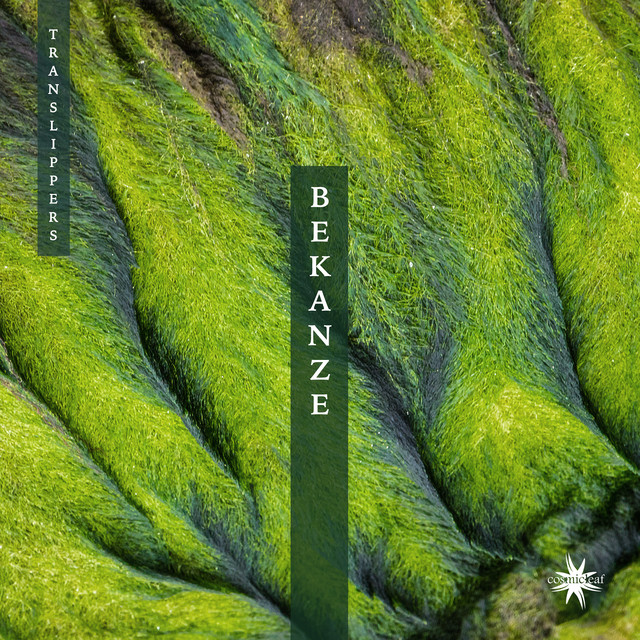 Bekanze cover art