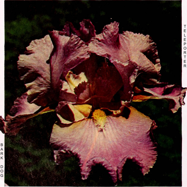 Teleporter cover art