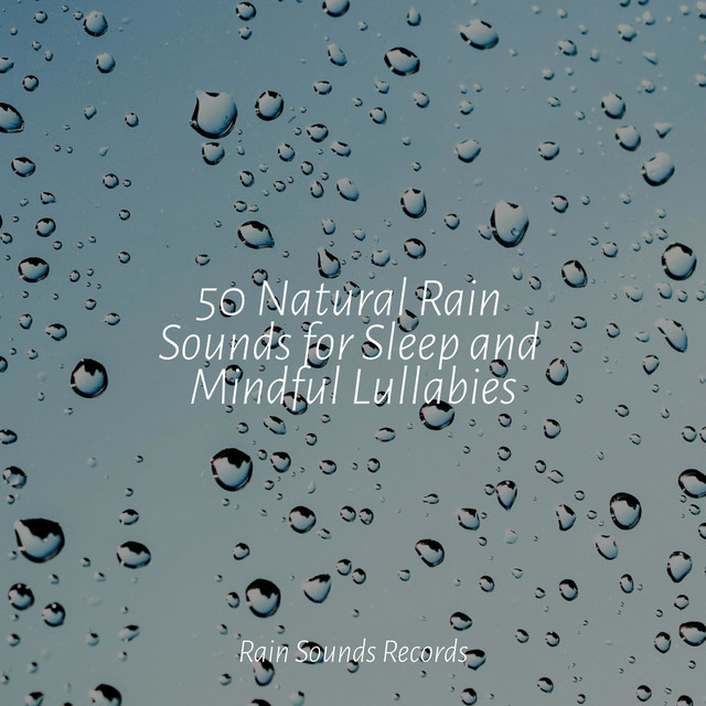 50 Natural Rain Sounds for Sleep and Mindful Lullabies - Album by ...