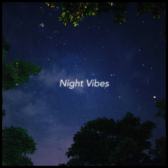 Night Vibes cover art