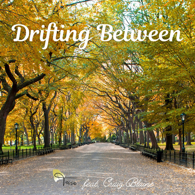 Drifting Between cover art